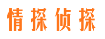 泸县市侦探公司